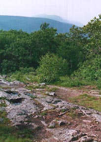 Rocky Path to Higher Elevations