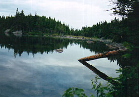 A Restful Pond