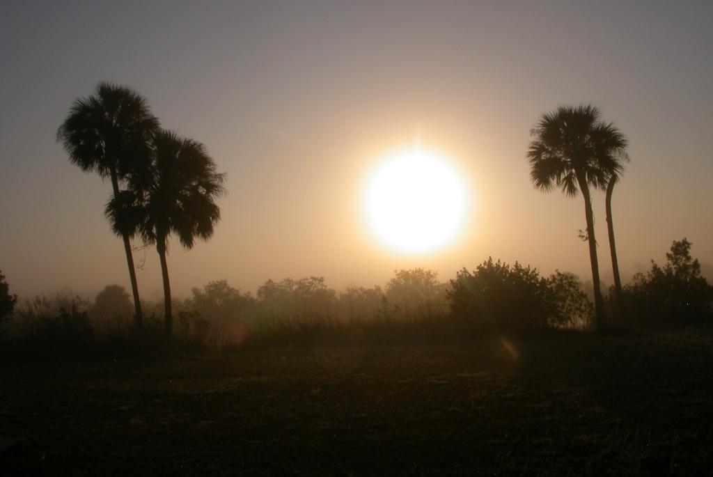 Florida Sunset.JPG